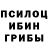 Псилоцибиновые грибы ЛСД Gulay KESICI
