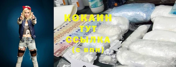 таблы Бородино