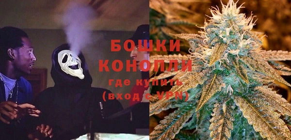таблы Бородино