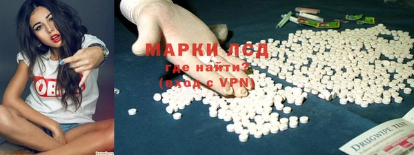 PSILOCYBIN Бугульма